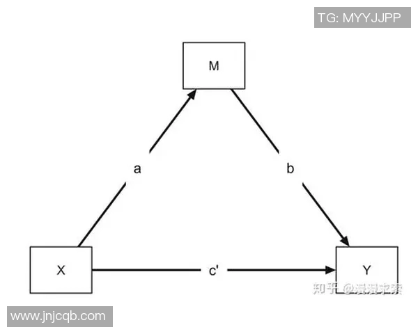 乒乓球男子与女子竞技差异探讨及其对运动发展的影响分析